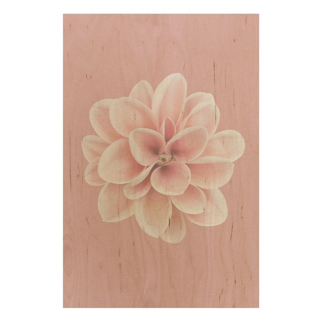 Tableaux en bois avec fleurs Fleur Dahlia Rose Blush Centré