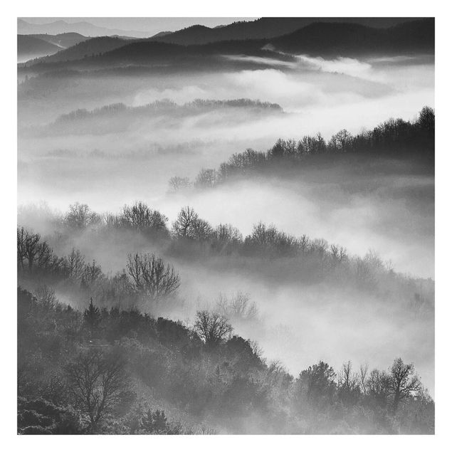 Tapisserie forêt Brouillard au coucher du soleil Noir et Blanc