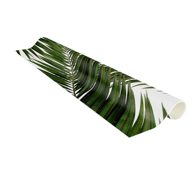 tapis contemporain Vue à travers des feuilles de palmier vertes