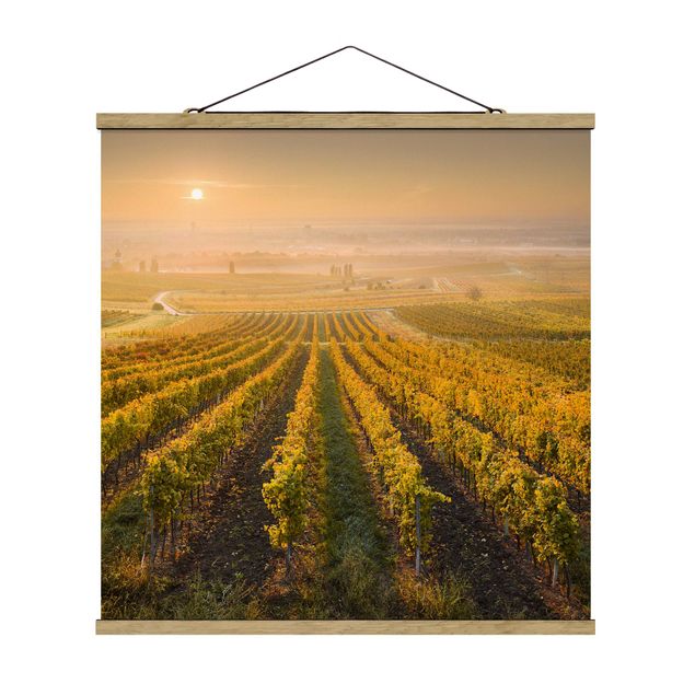 Tableaux moderne Vignobles d'automne près de Vienne