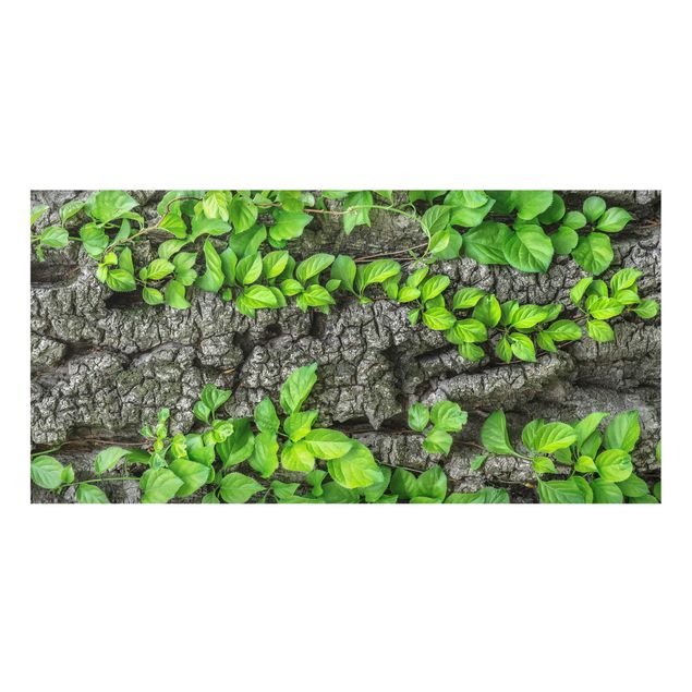 Fond de hotte - Ivy Tree Bark