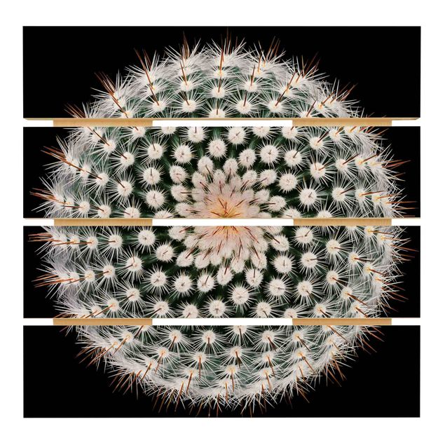 Impression sur bois Fleur de cactus