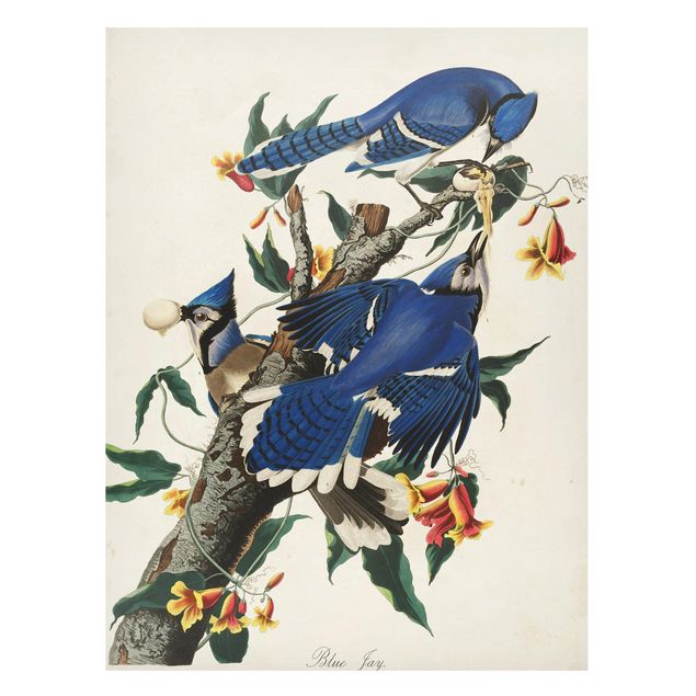 Tableaux magnétiques avec fleurs Tableau Vintage Blue Jays