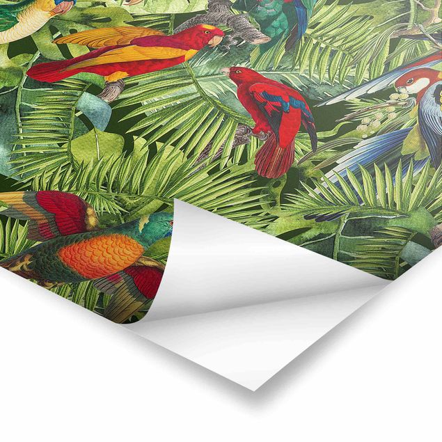 Tableaux de Andrea Haase Collage coloré - Perroquets dans la jungle