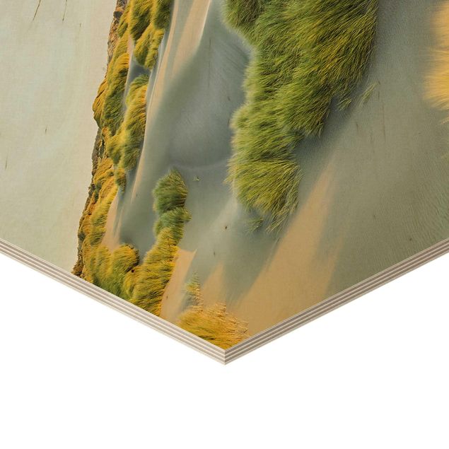 Impression sur bois Dunes et herbes à la mer