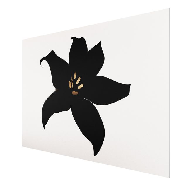 Tableau orchidées Monde végétal graphique - Orchidée noire et or
