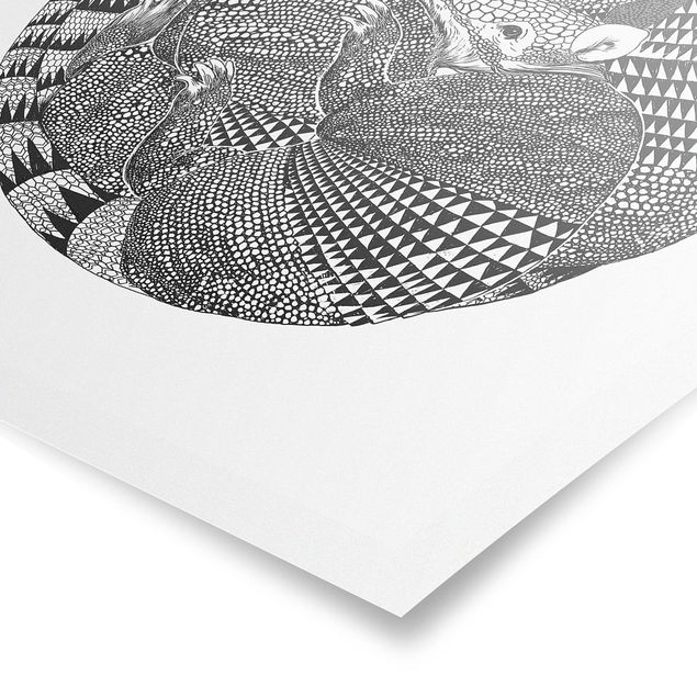 Tableaux noir et blanc Illustration Armadillos Motif Noir et Blanc