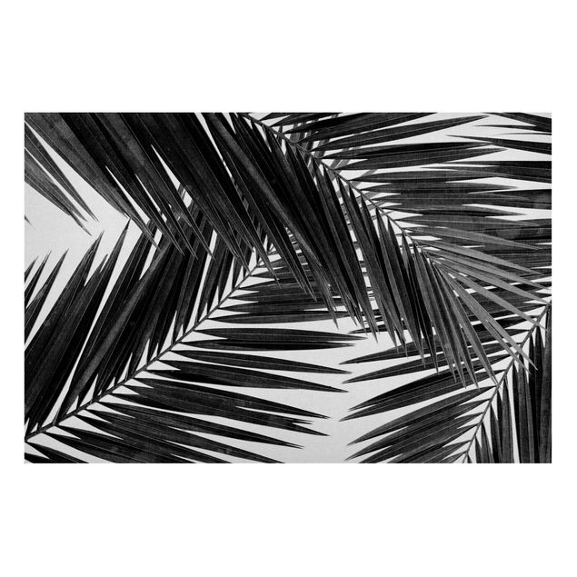 Tableau paysage View Over Palm Leaves Black And White