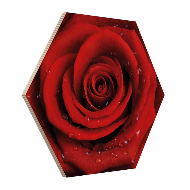Tableaux bois Rose rouge avec gouttes d'eau