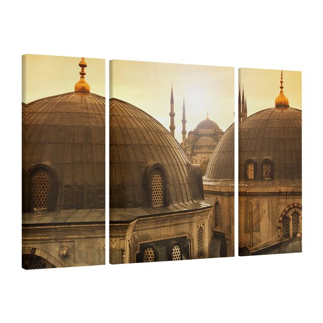 Tableau toile ville Sur les toits d'Istanbul
