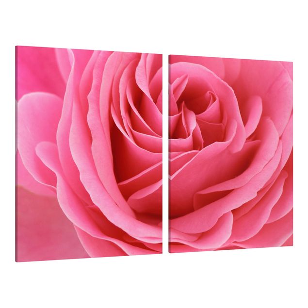 Tableaux fleurs Lustful Pink Rose