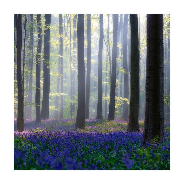 tapis floral Journée de printemps dans la forêt