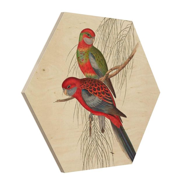 Tableaux muraux Tropical Parrot III