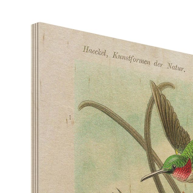 Impression sur bois Vintage Board Hummingbirds