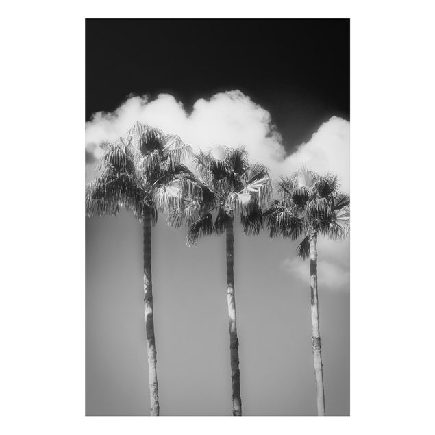 Tableau paysages Palmiers Contre Le Ciel Noir Et Blanc