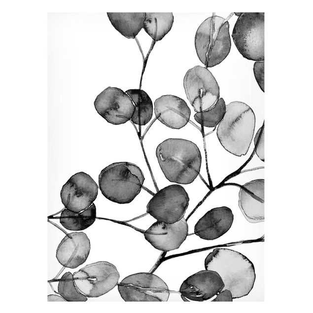 Tableaux magnétiques avec fleurs Rameau d'Eucalyptus Noir et Blanc Aquarelle