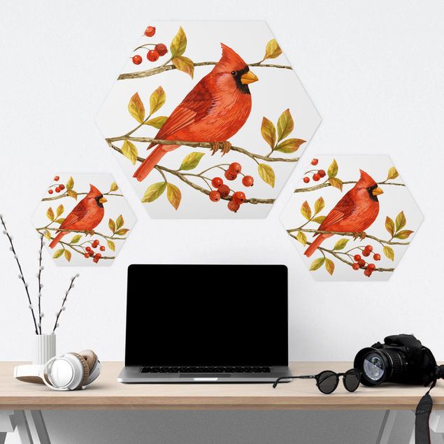 Hexagone en forex - Birds And Berries - Northern Cardinal