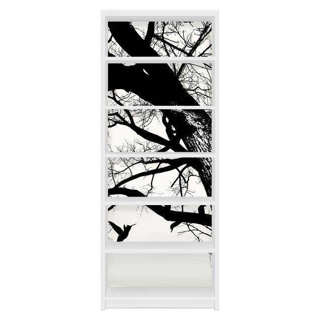 Films adhésifs en noir et blanc Vieil arbre dans le ciel