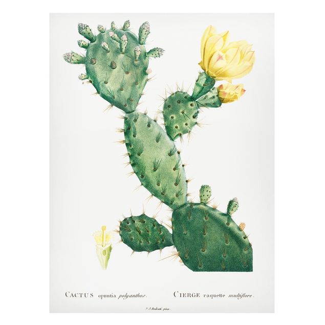 Tableaux magnétiques avec fleurs Illustration Botanique Vintage Fleur de Cactus jaune