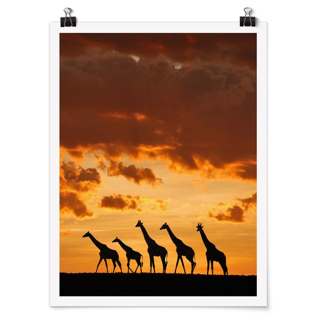 Cadre animaux Cinq Girafes