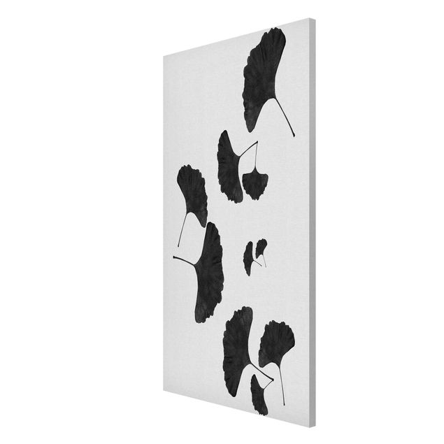 Tableau reproduction Composition de Ginkgo en noir et blanc