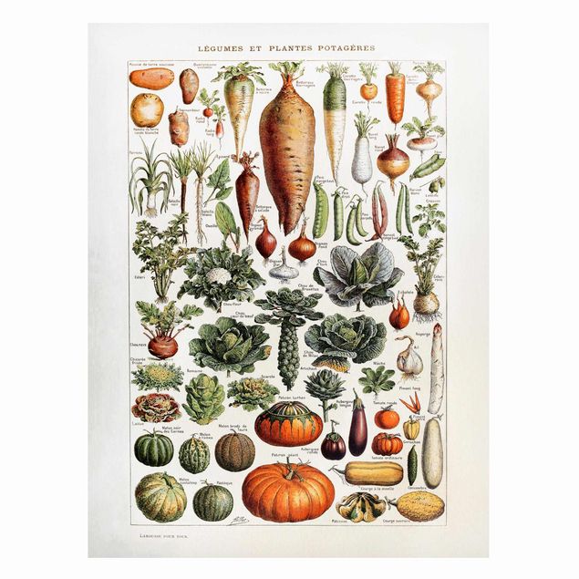 Tableaux magnétiques avec fleurs Tableau Vintage Légumes