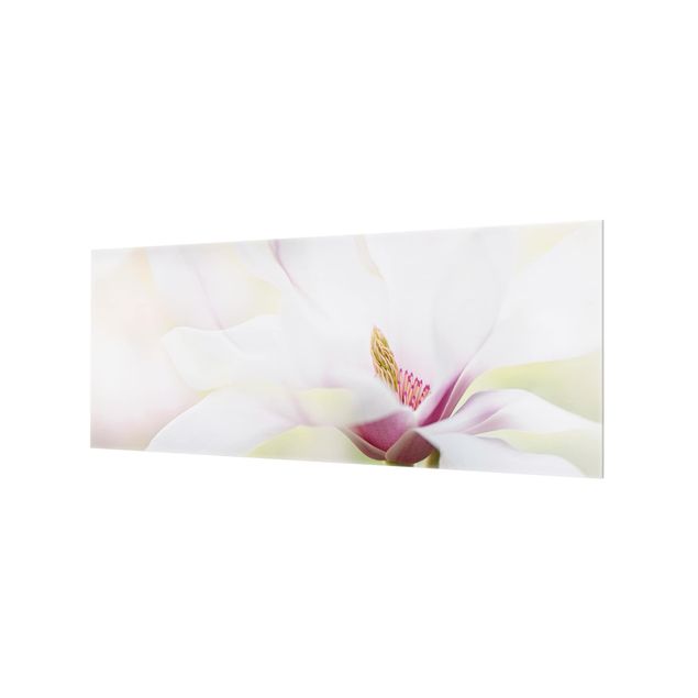 Fond de hotte - Delicate Magnolia Blossom