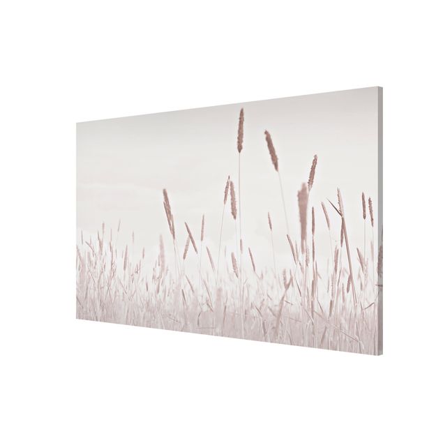 Tableau moderne Summerly Reed Grass