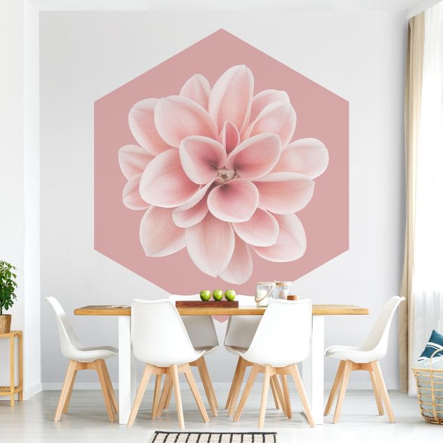 Papier peint floral Dahlia En Rosé