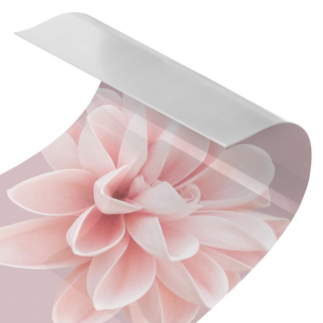 Revêtement mural de douche - Dahlia Flower Lavender Pink White