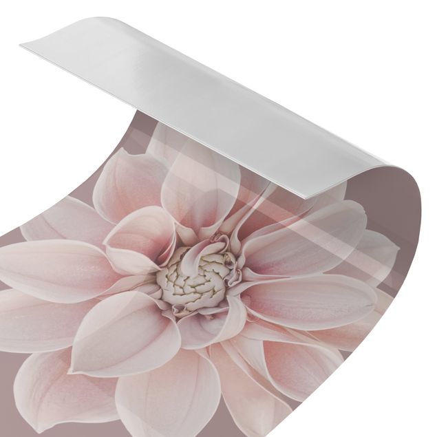 Revêtement mural de douche - Dahlia Flower Lavender White Pink