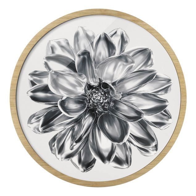 Tableaux encadrés reproductions Fleur de dahlia argent métallique