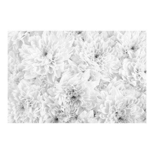 tapisserie panoramique Dahlia Close-up Black And White
