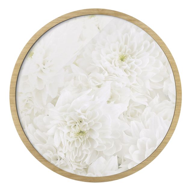 Tableaux Dahlias Mer De Fleurs Blanc