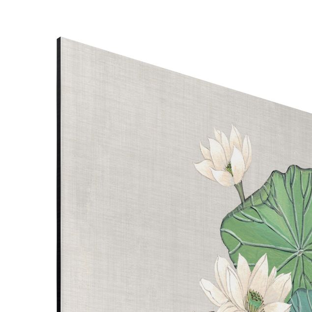 Tableaux verts Illustration vintage De Fleurs De Lotus Dans L'étang II