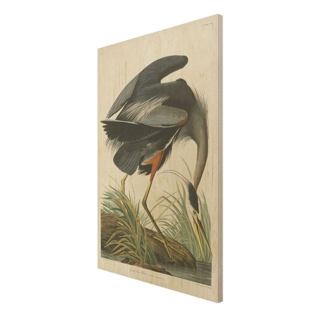 Tableau décoration Tableau Botanique Blue Heron