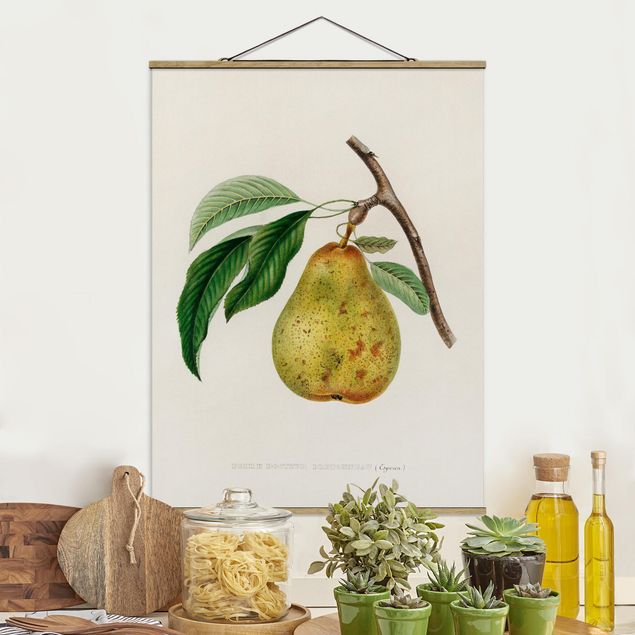 Déco mur cuisine Illustration Botanique Vintage Poire Jaune