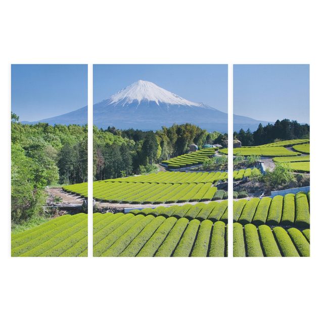 Toile paysage montagne Champs de thé devant le Fuji