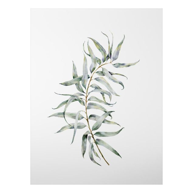 Tableau moderne Eucalyptus Aquarelle lV