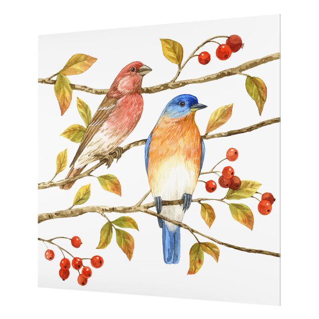 Fond de hotte - Birds And Berries - Bluebird