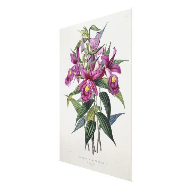 Tableaux Artistiques Maxim Gauci - Orchidée I