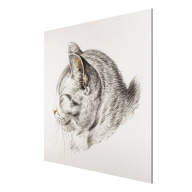 Tableaux animaux Dessin vintage Chat III