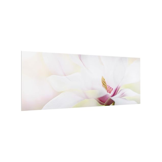 crédence cuisine en verre Délicate fleur de magnolia