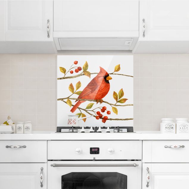 crédence cuisine en verre Oiseaux et baies - Cardinal du Nord