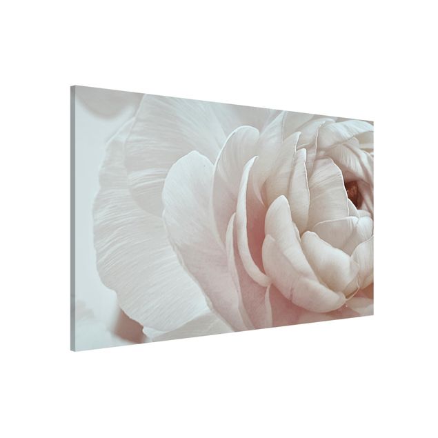 Déco mur cuisine Fleur blanche dans un océan de fleurs