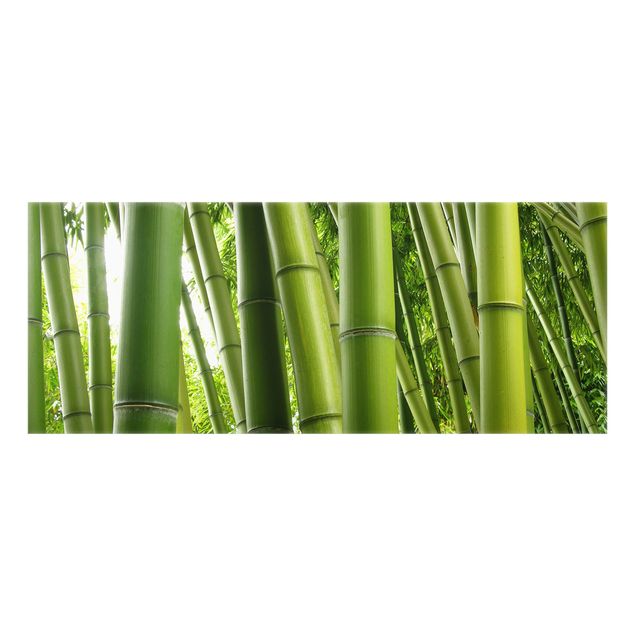 Fond de hotte - Bamboo Trees