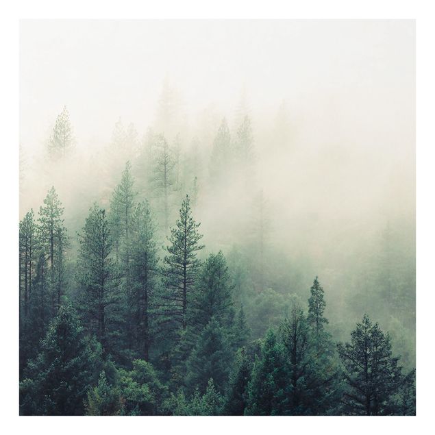 Fonds de hotte - Foggy Forest Awakening - Carré 1:1