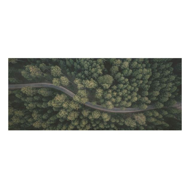 Tableaux en bois avec paysage Vue aérienne - Route forestière vue d'en haut