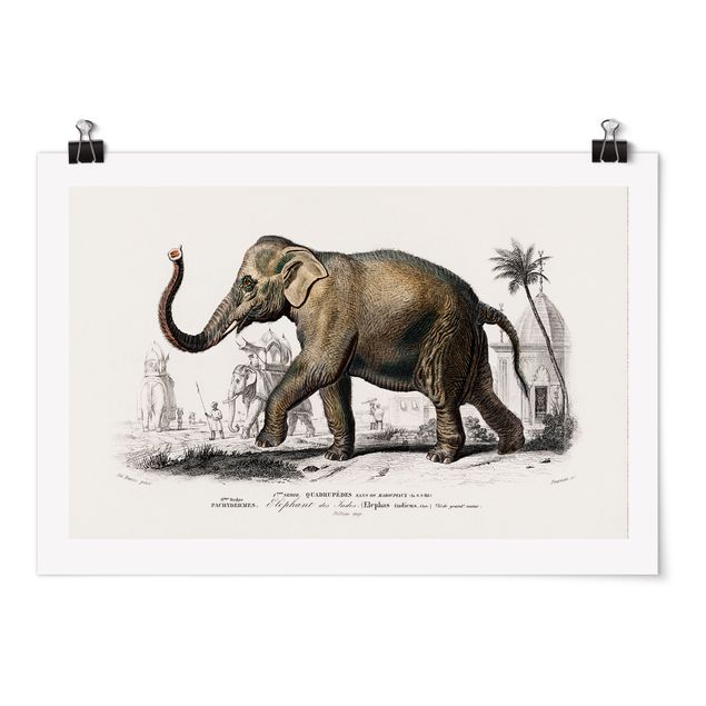 Tableau animaux Tableau Vintage Éléphant