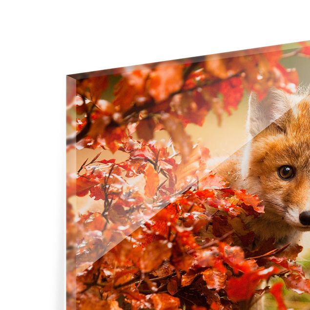 Fond de hotte - Fox In Autumn